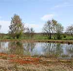 De Steenbroekse hei is een voorbeeld van een waardevol klein landschapselement