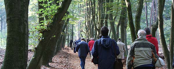 Bij de presentatie van de Erfgoedgids Groesbeek een cultuurhistorische wandeling maakten de bezoekers een wandeling in het bos, onder andere door het opgeknapte Krombeukenlaantje